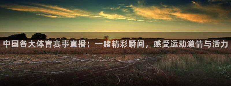 中国各大体育赛事直播：一睹精彩瞬间，感受运动激情与活力