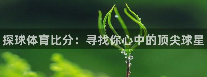 探球体育比分：寻找你心中的顶尖球星