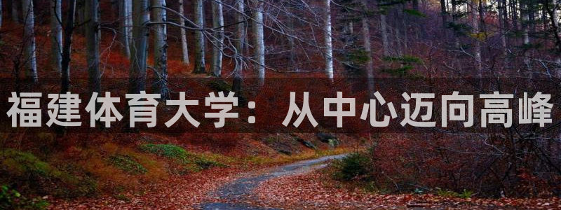 福建体育大学：从中心迈向高峰