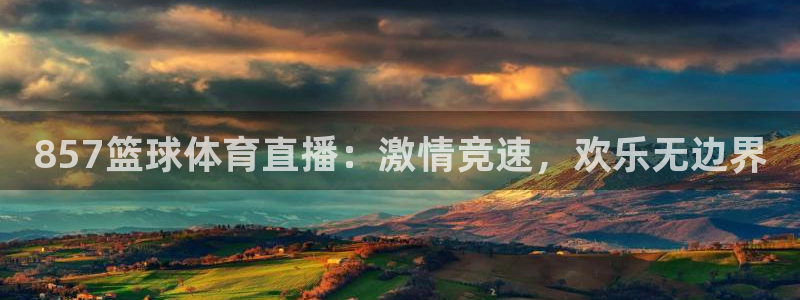 乐视视频体育直播