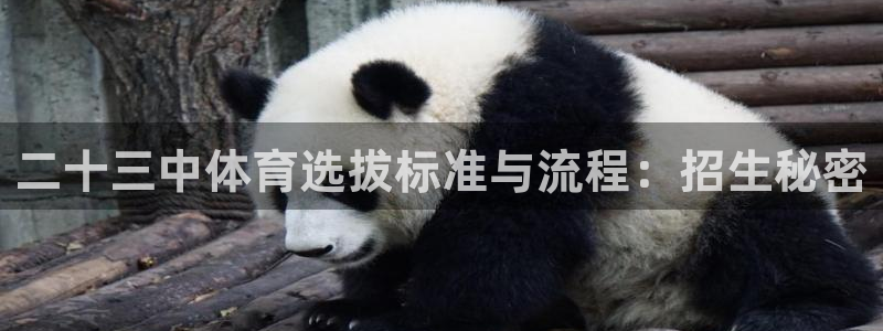 乐视看