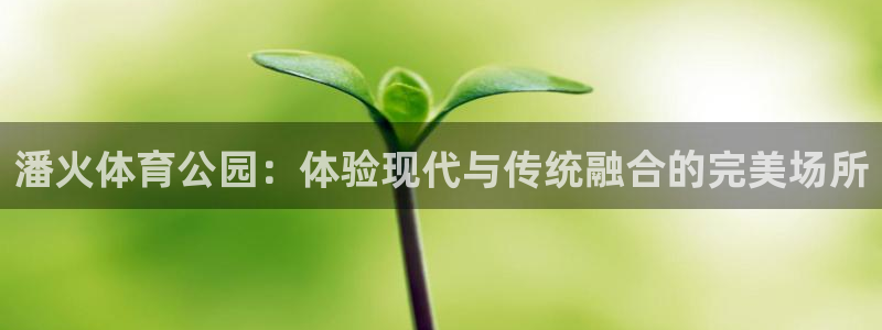 乐视体育撕名牌：潘火体育公园：体验现代与传统融合的完美场所