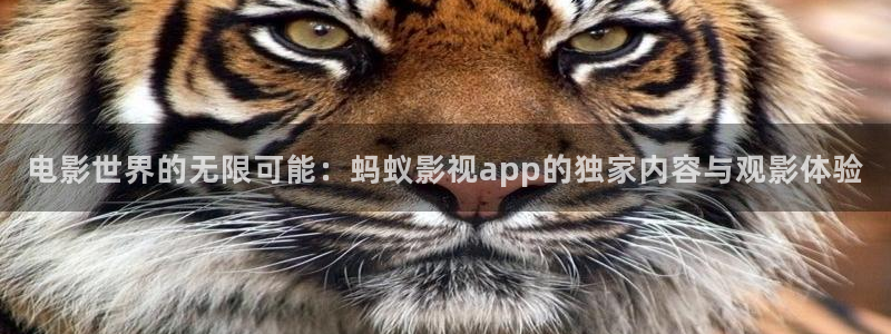 乐视金融app：电影世界的无限可能：蚂蚁影视app的独家内容与观影体验