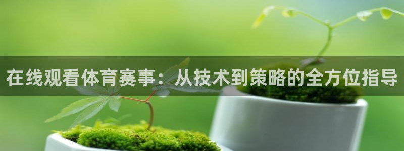 乐视体育股票：在线观看体育赛事：从技术到策略的全方位指导