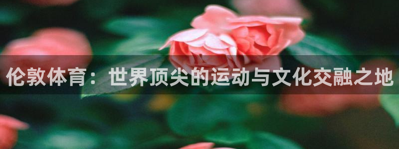 乐视体育探访中国体操队：伦敦体育：世界顶尖的运动与文化交融之地