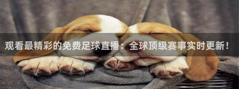 乐视体育官网入口：观看最精彩的免费足球直播：全球顶级赛事实时更新！