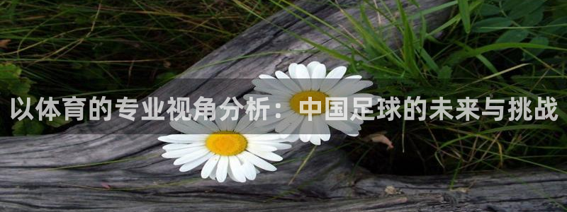 乐视监控app安装免费：以体育的专业视角分析：中国足球的未来与挑战